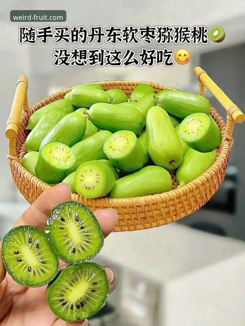 奇异果体育平台最新动态：登录体验全面升级，一站式体育服务再添新亮点