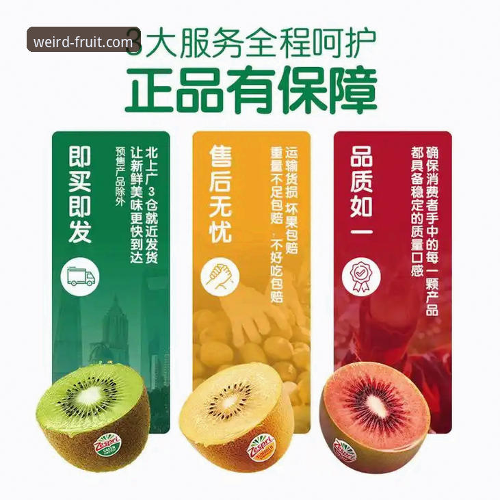 奇异果体育手机版新手入门完整指南：从下载到观赛的全流程操作