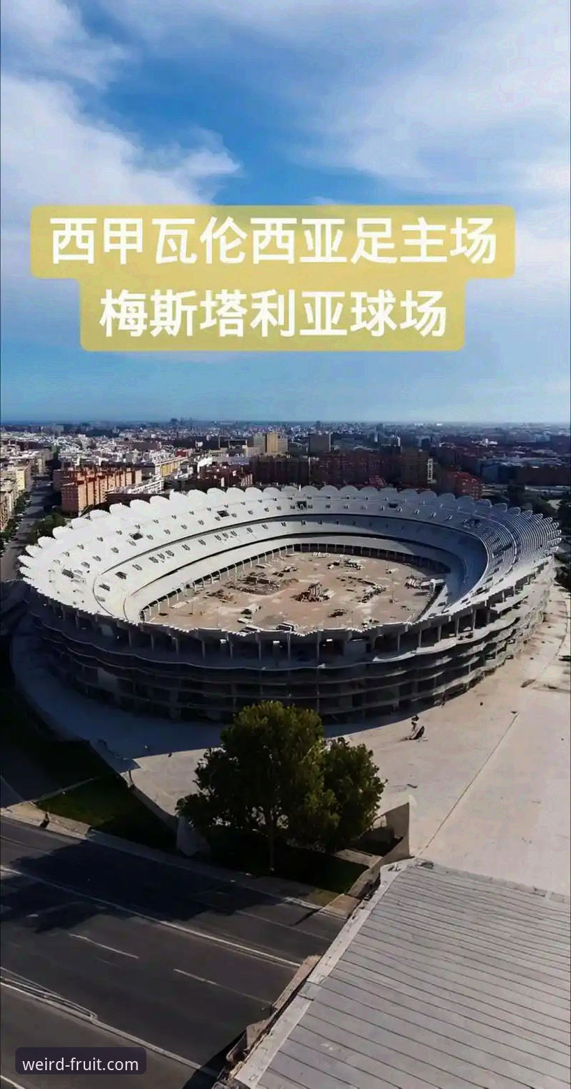 奇异果体育app下载 西甲保级战详解:马竞青训双星闪耀梅斯塔利亚,瓦伦西亚陷入绝境