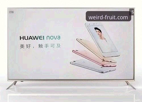 奇异果体育好吗安全吗 奇异果体育平台最新动态:安全性能与用户体验深度评测