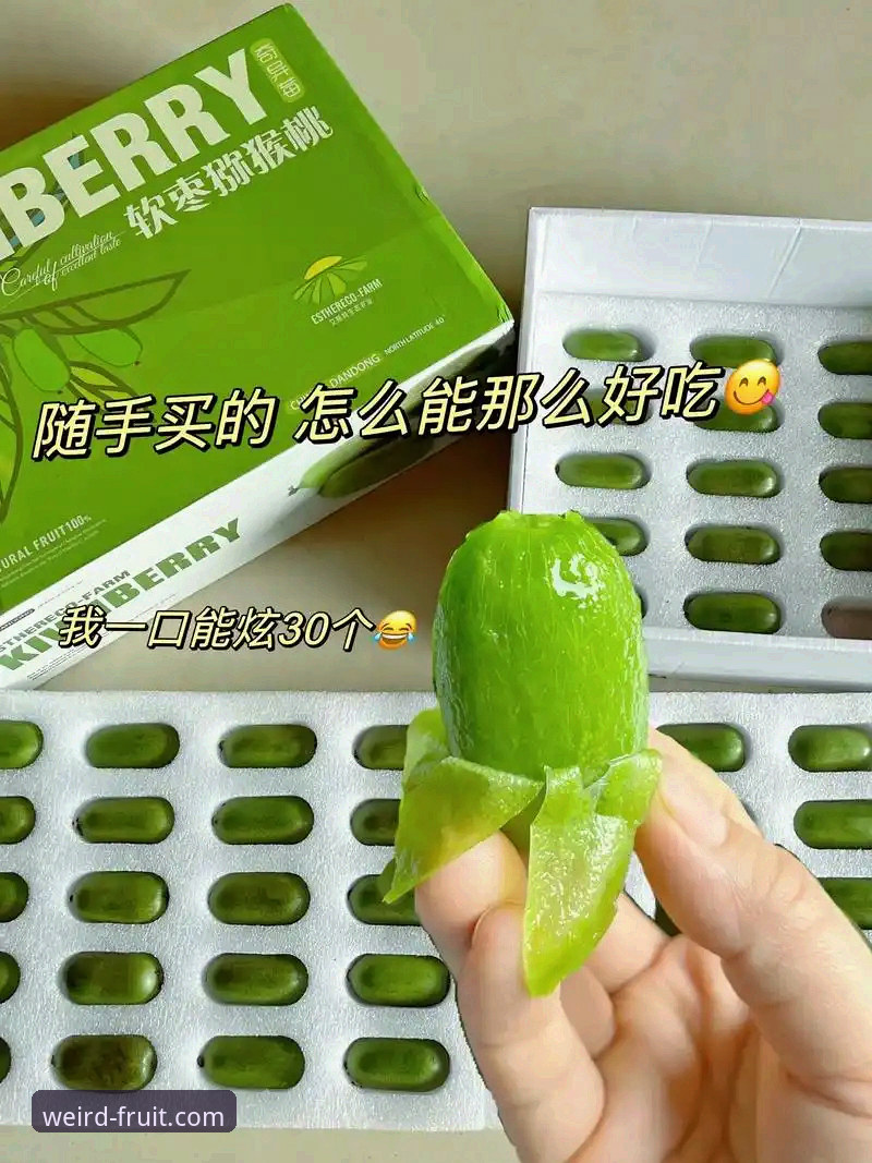 奇异果体育网页版安全吗 奇异果体育网页版安全吗?专业分析报告